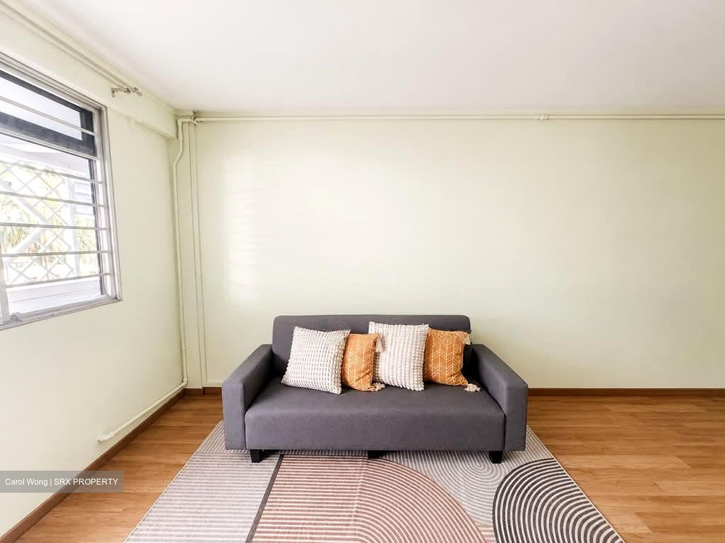 Blk 170 Stirling View (Queenstown), HDB 3 Rooms #588859721